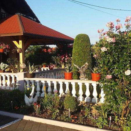 Guesthouse Tomas Catrnja Exterior photo