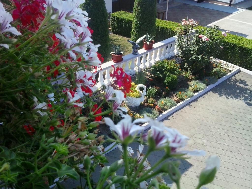 Guesthouse Tomas Catrnja Exterior photo