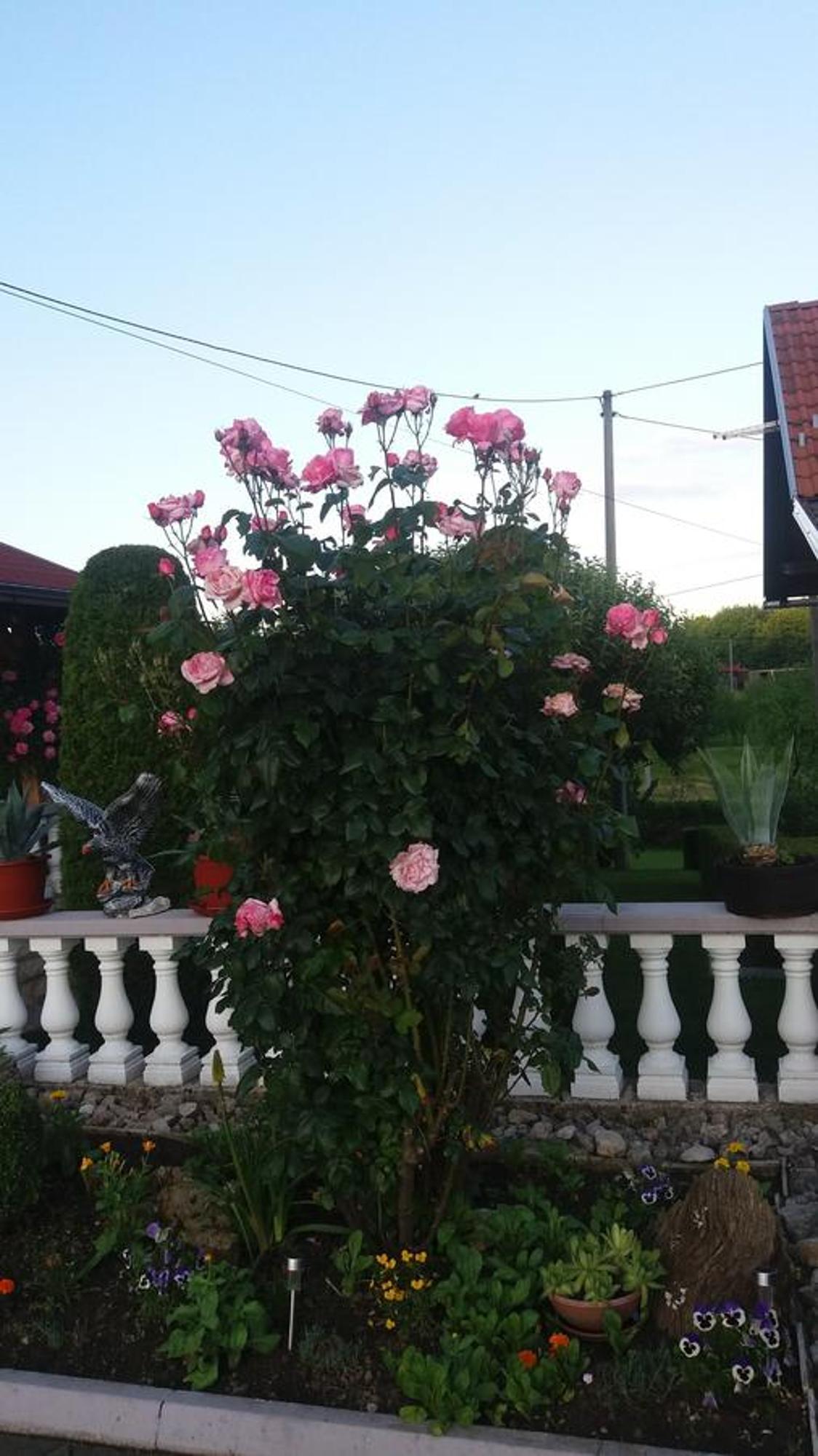 Guesthouse Tomas Catrnja Exterior photo